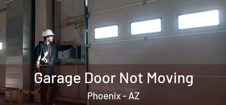  Garage Door Not Moving Phoenix - AZ