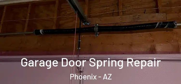  Garage Door Spring Repair Phoenix - AZ