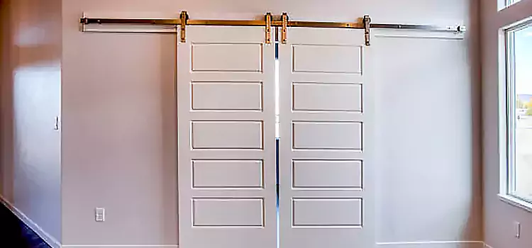 Glass Barn Door with Installation Hardware Kit Phoenix