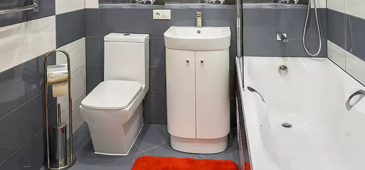 Hansgrohe Shaving Mirror Phoenix